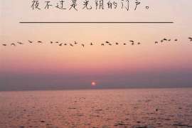 洛浦调查案例